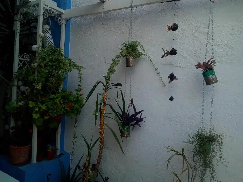 Photo - Hotel Ramis fundado en 1969