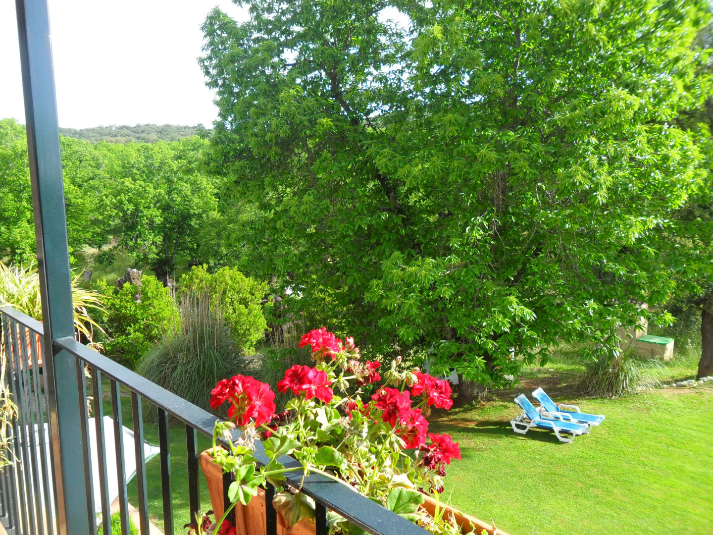 Foto - Hotel Apartamento Rural Finca La Media Legua