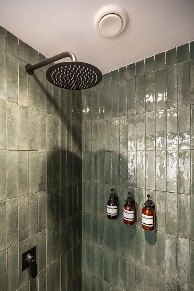 Foto - The Bear and Ween