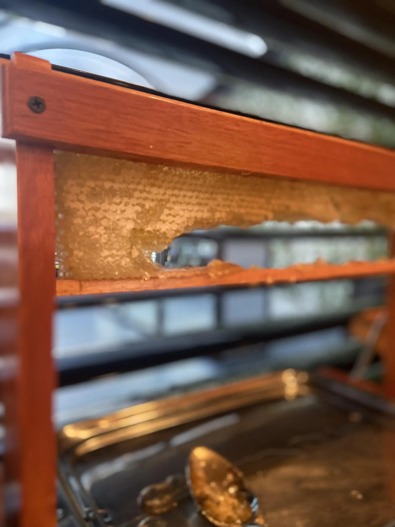 Foto - Regal Pacific Puerto Madero