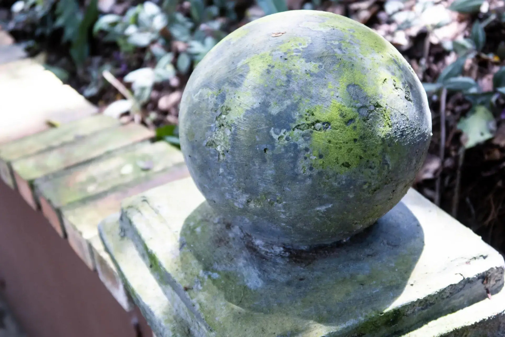 Foto - Pousada Aguas Claras