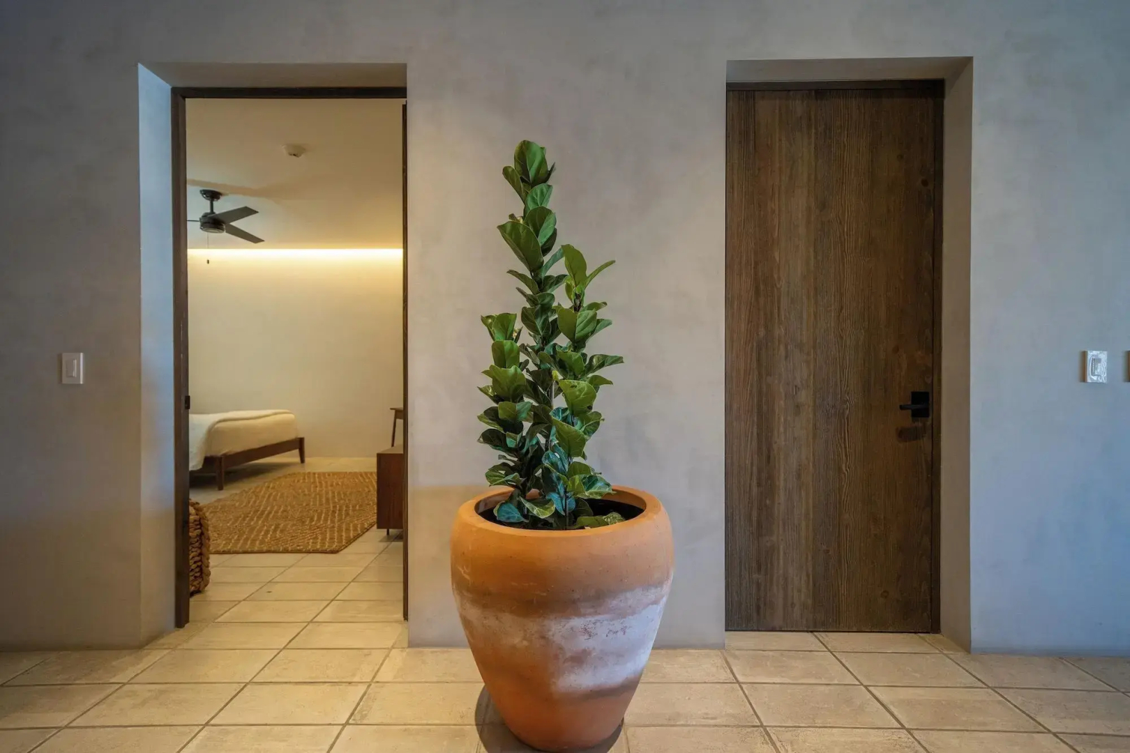 Foto - 1 Homes Preview Cabo