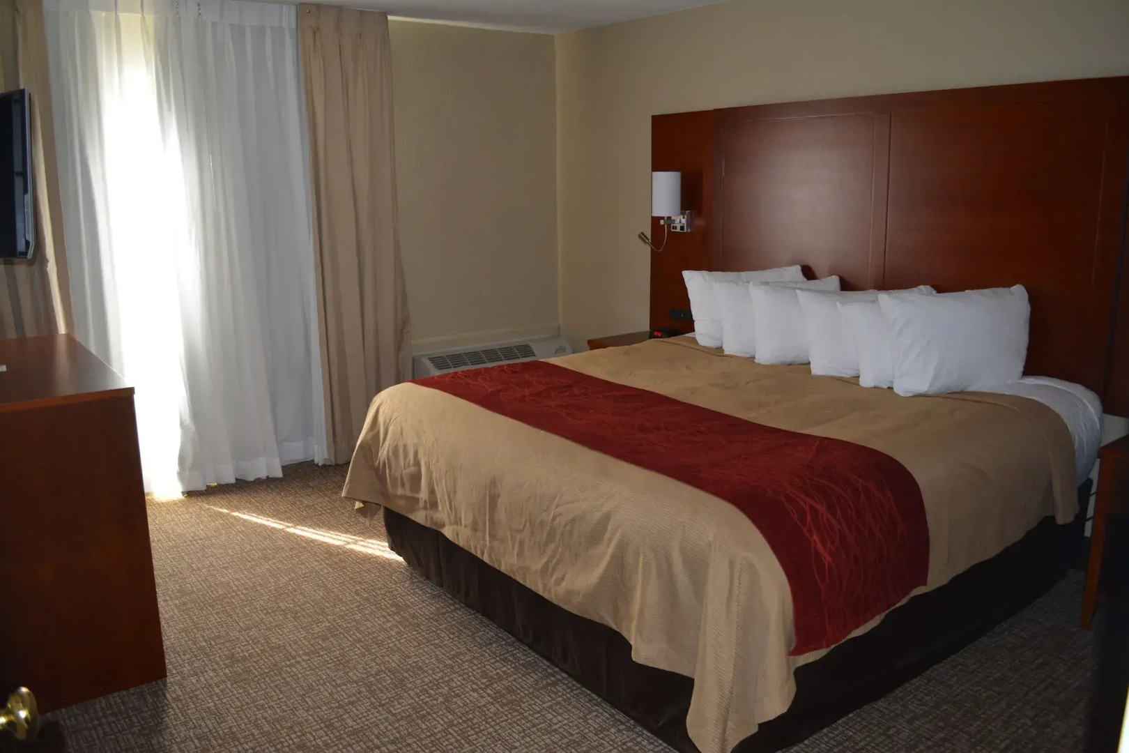 Foto - Comfort Inn Savannah Midtown