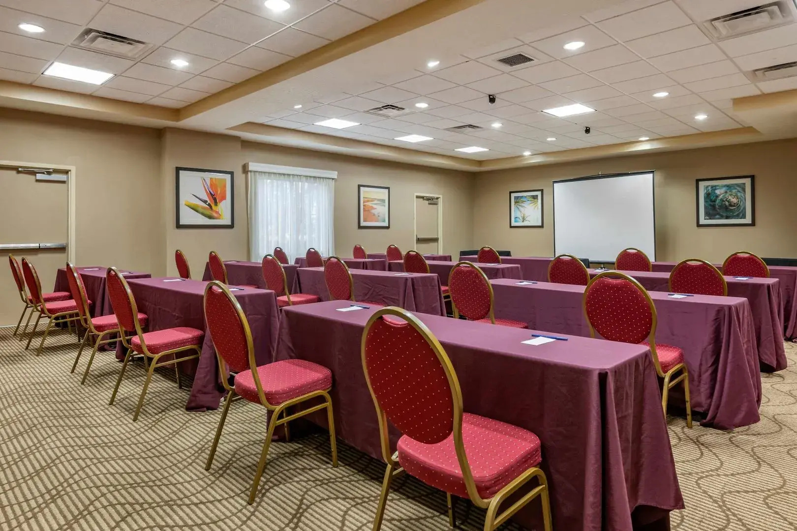 Photo - Comfort Suites Orlando Airport