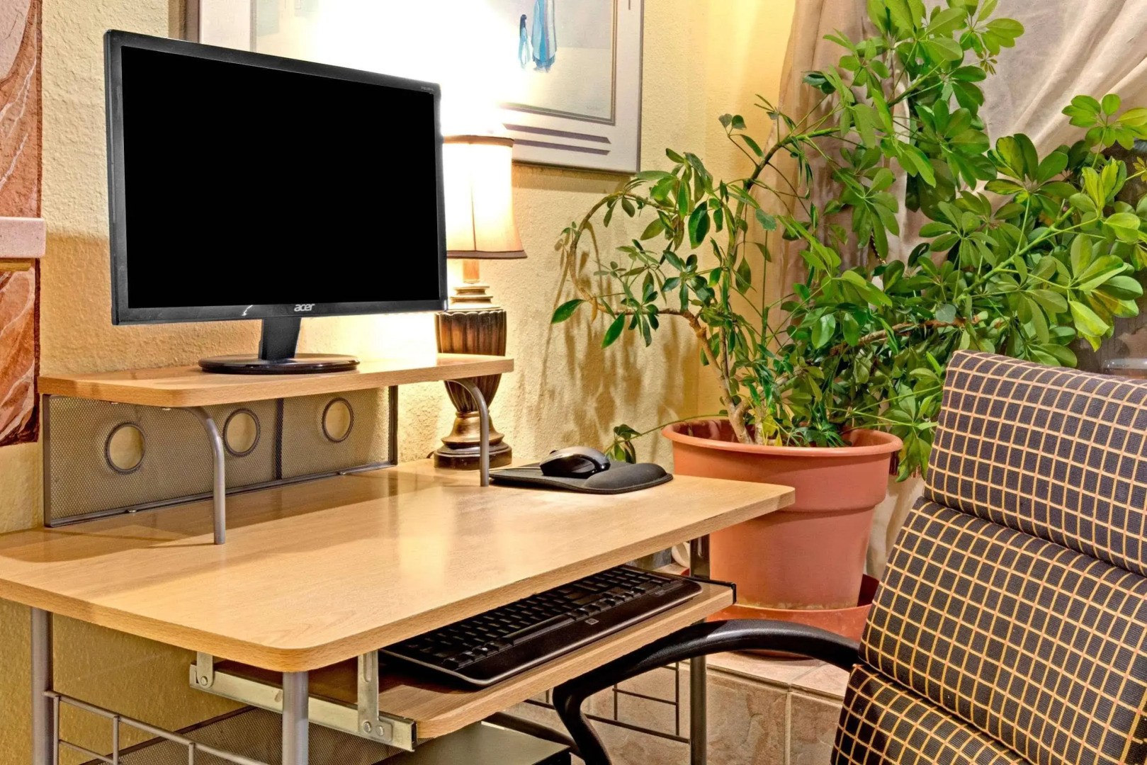 Photo - Coyote South