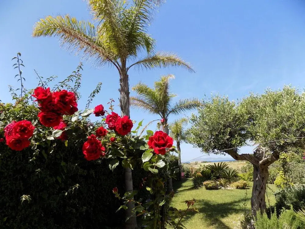 Photo - Vista Egadi B&B