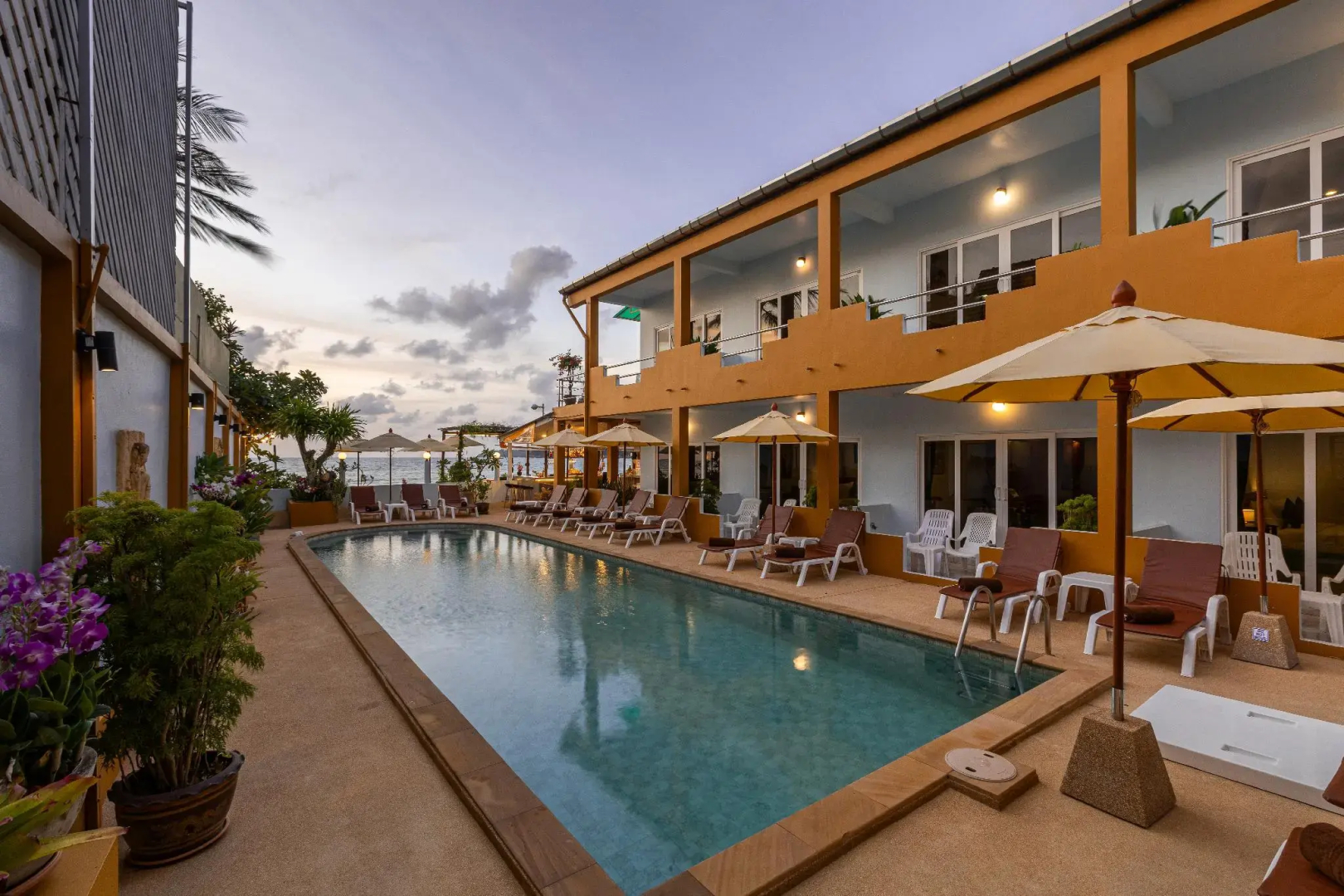 Foto - Kamala Dreams