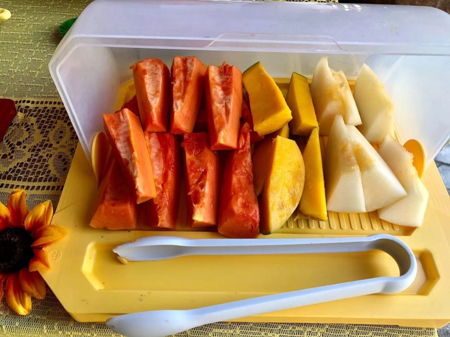 Foto - Pousada das Oliveiras