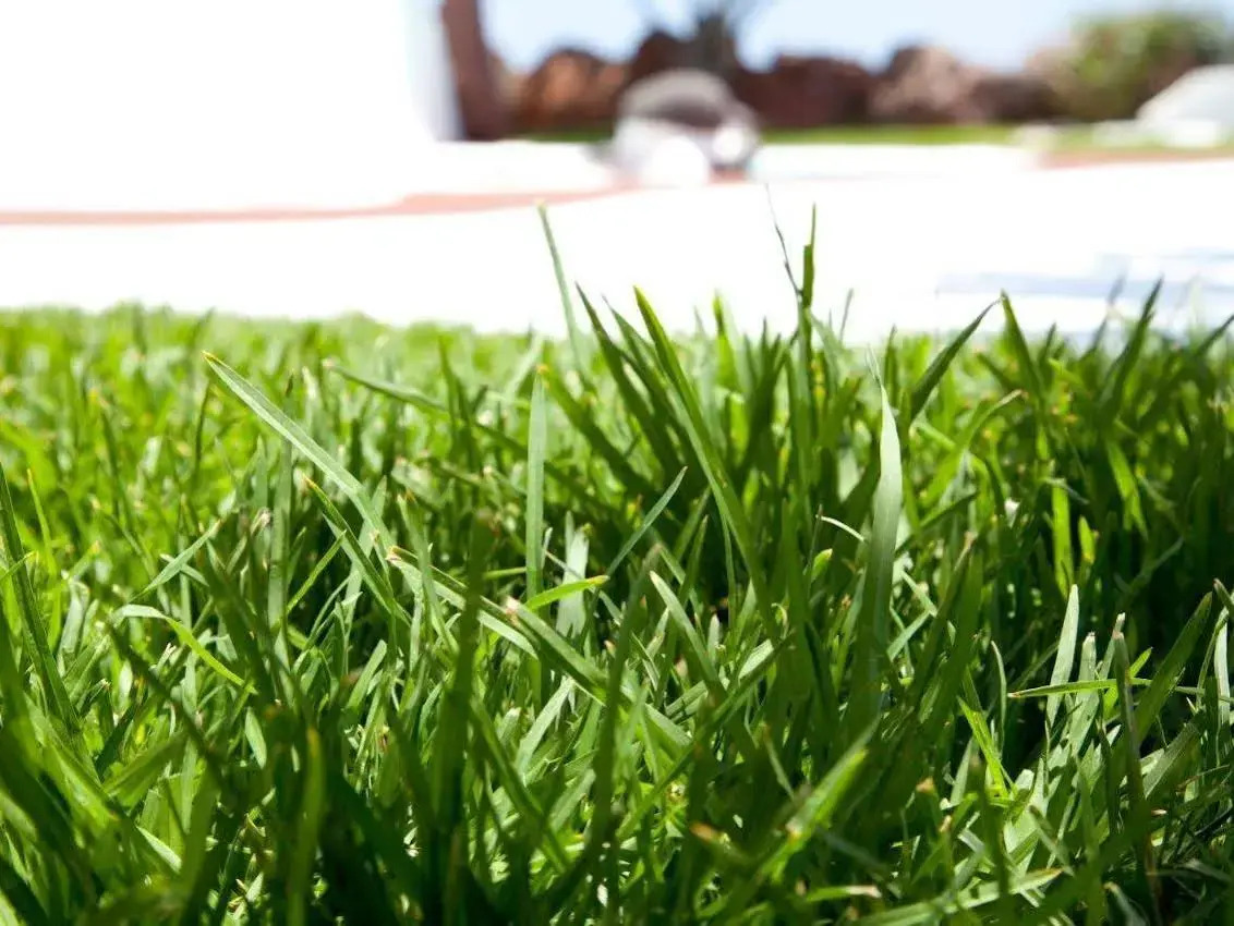 Photo - Kamezí Boutique Hotel Villas