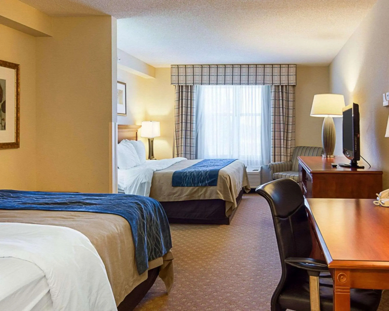 Foto - Comfort Inn & Suites Virginia Beach - Norfolk Airport