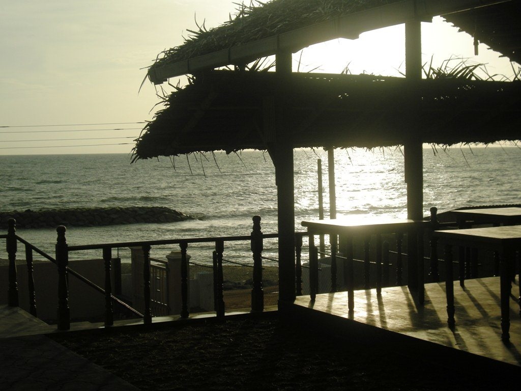 White Rose Resort