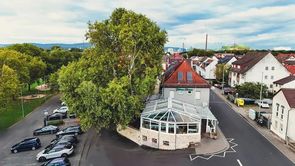 Foto - Zum Grünen Baum Hotel Frankfurt Airport