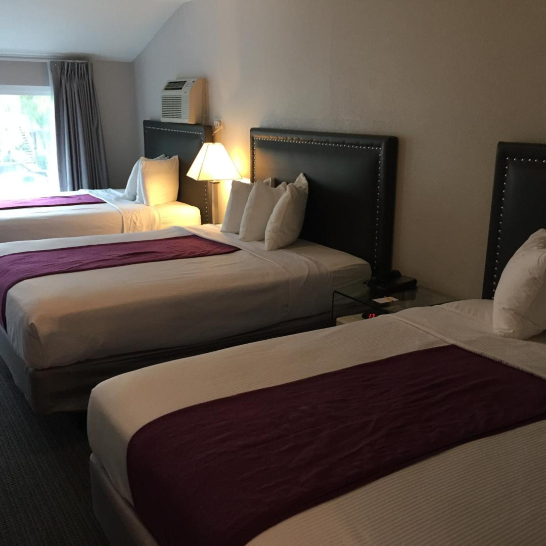 Foto - Hotel Iris - San Diego
