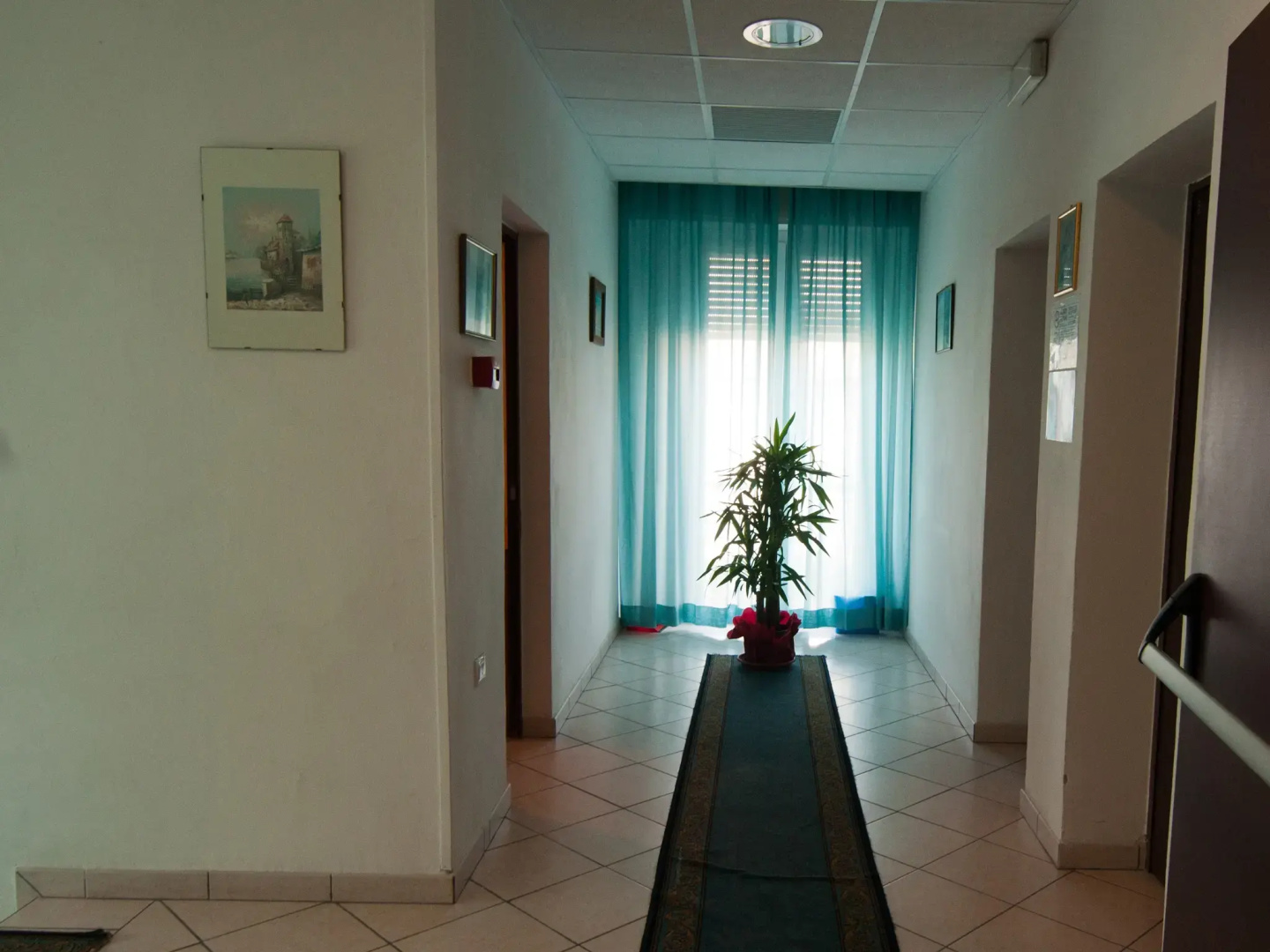 Foto - Hotel Savina