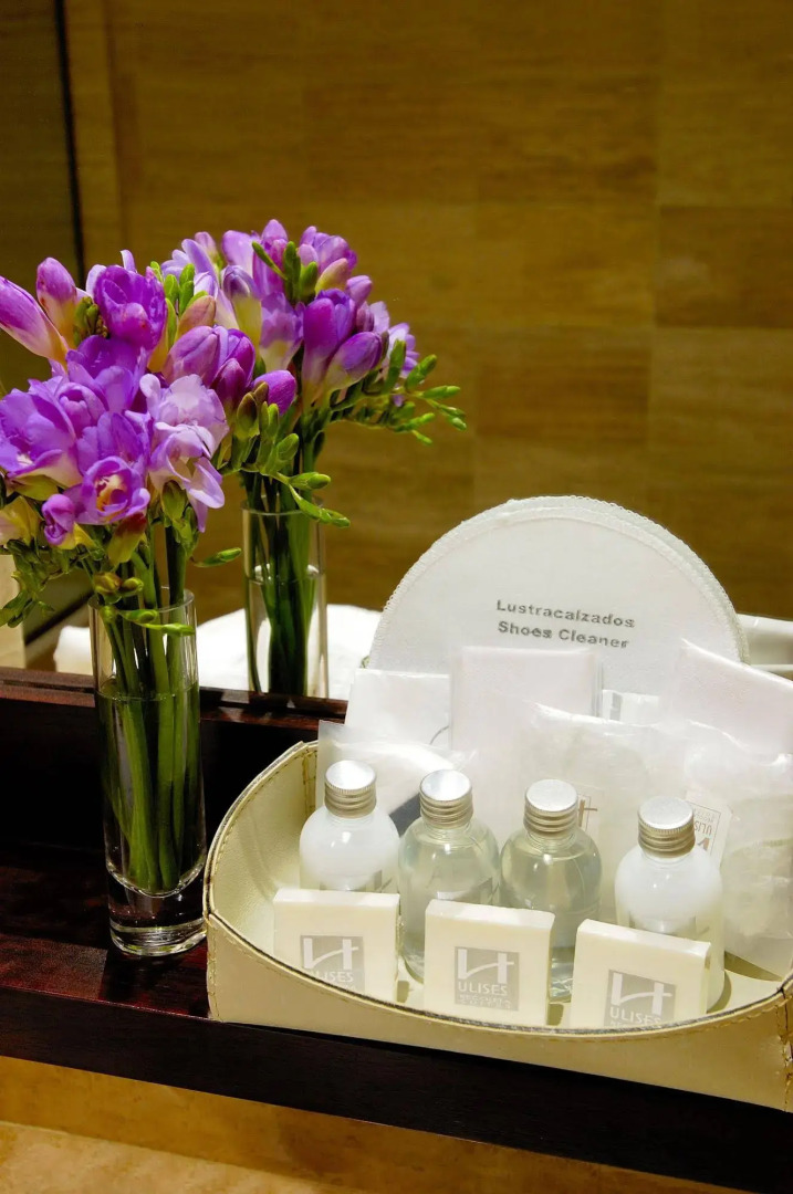 Foto - Ulises Recoleta Suites