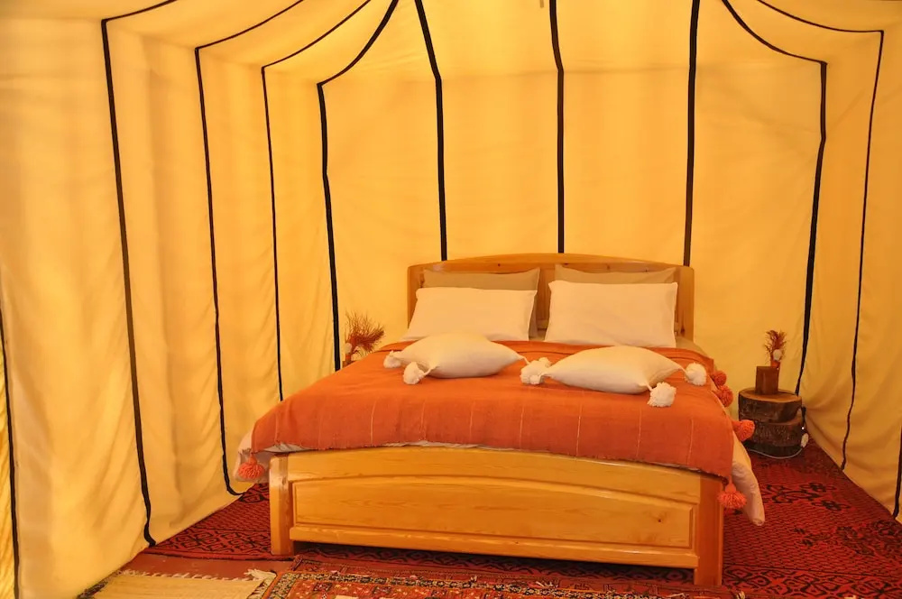 Bivouac Sous les palmiers bleus