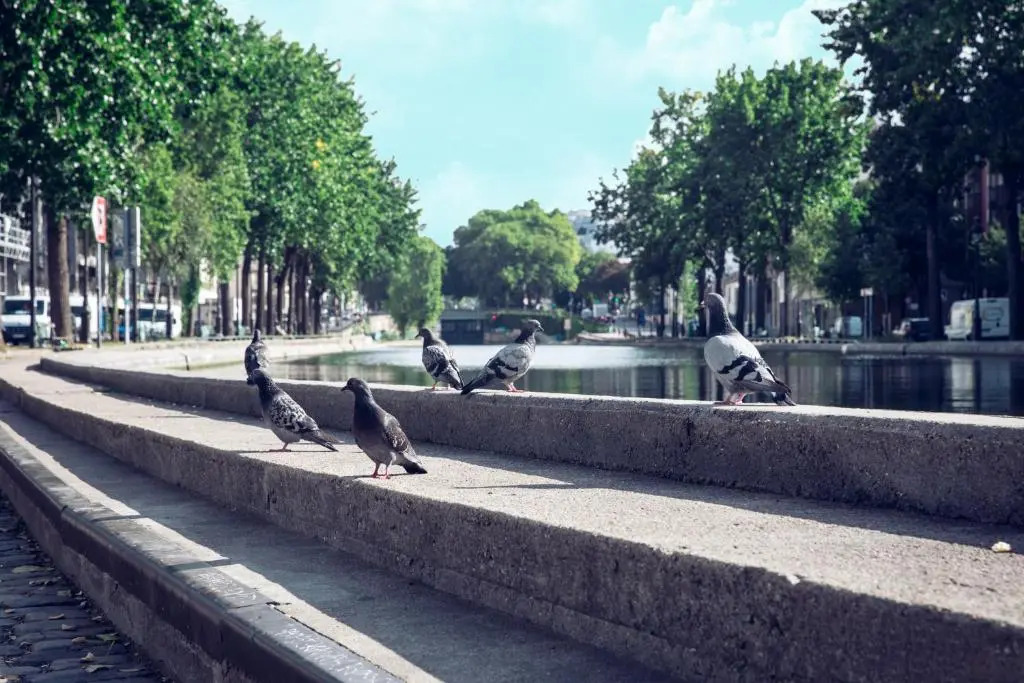 Photo - Timhotel Paris Gare de l'Est