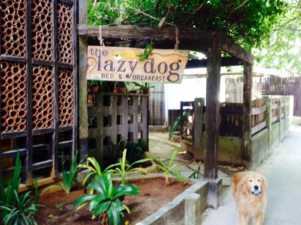 Photo - Lazy Dog Bed & Breakfast