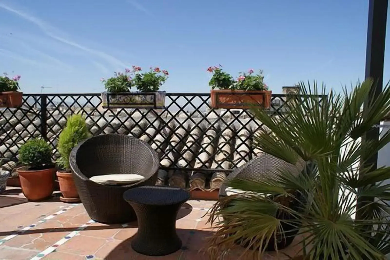Foto - Oasis Backpackers' Hostel Granada