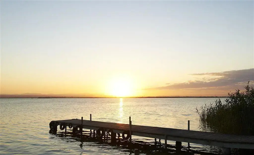 Photo - The Westin Valencia