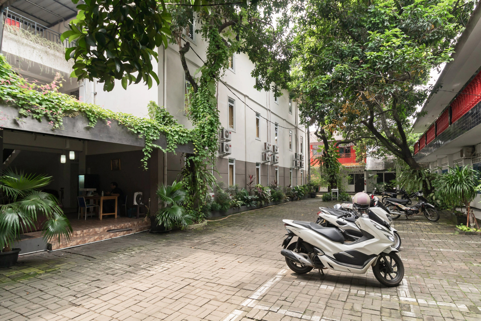 Foto - Urbanview Hotel Minongga Pondok Labu by RedDoorz