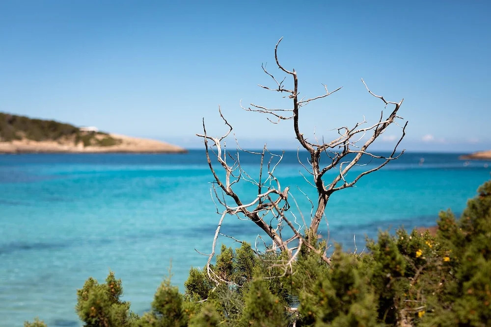 Foto - Hostal La Cigüeña