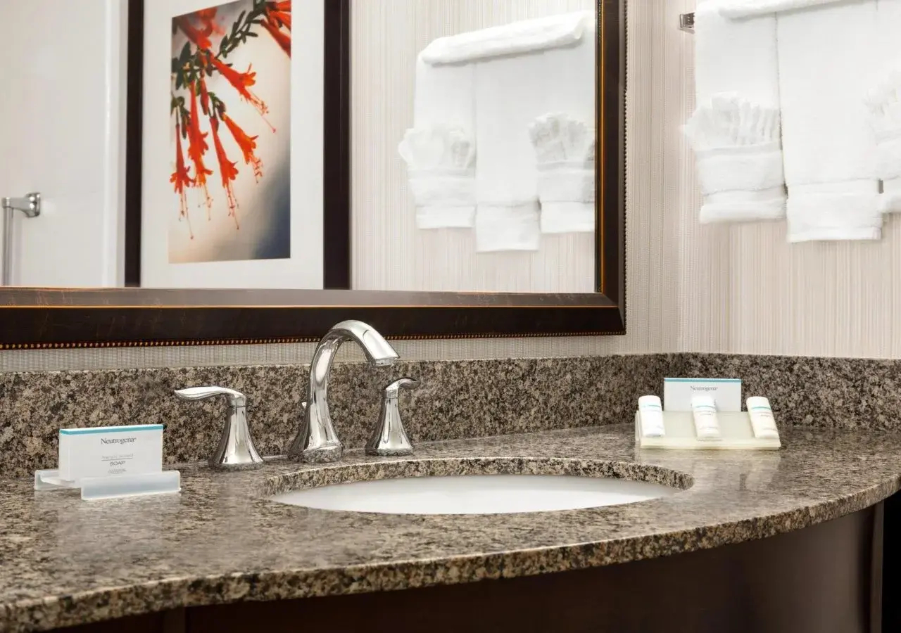 Photo - Hilton Garden Inn Atlanta Perimeter Center