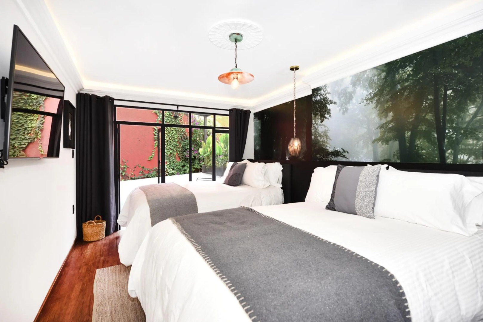 Photo - Orchid House Mexico City