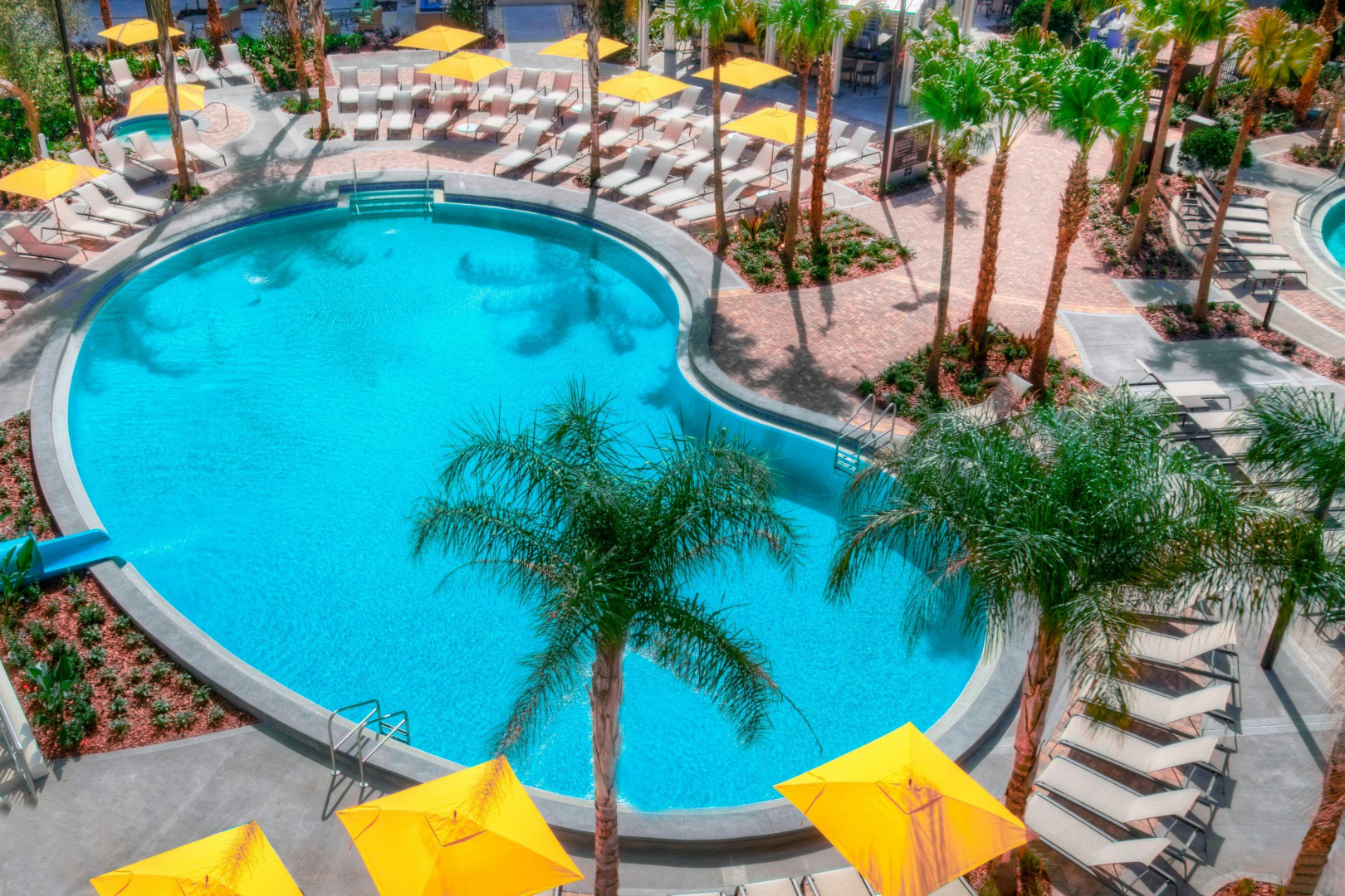 Foto - Sheraton Orlando Lake Buena Vista Resort