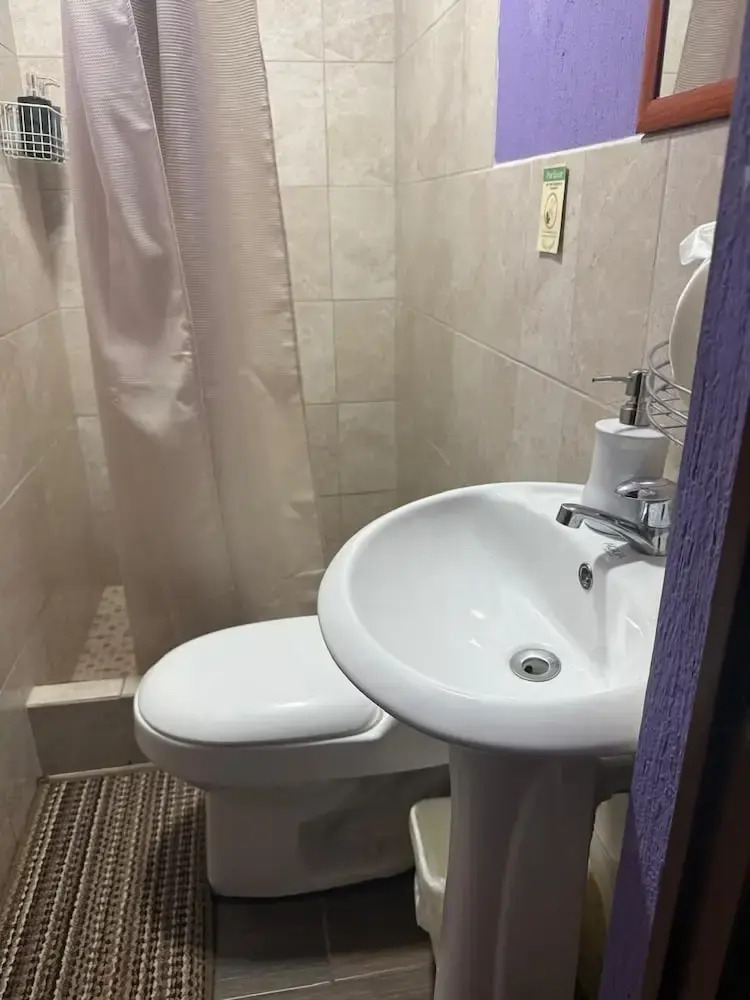 Photo - Hotel Quinta Vista Verde