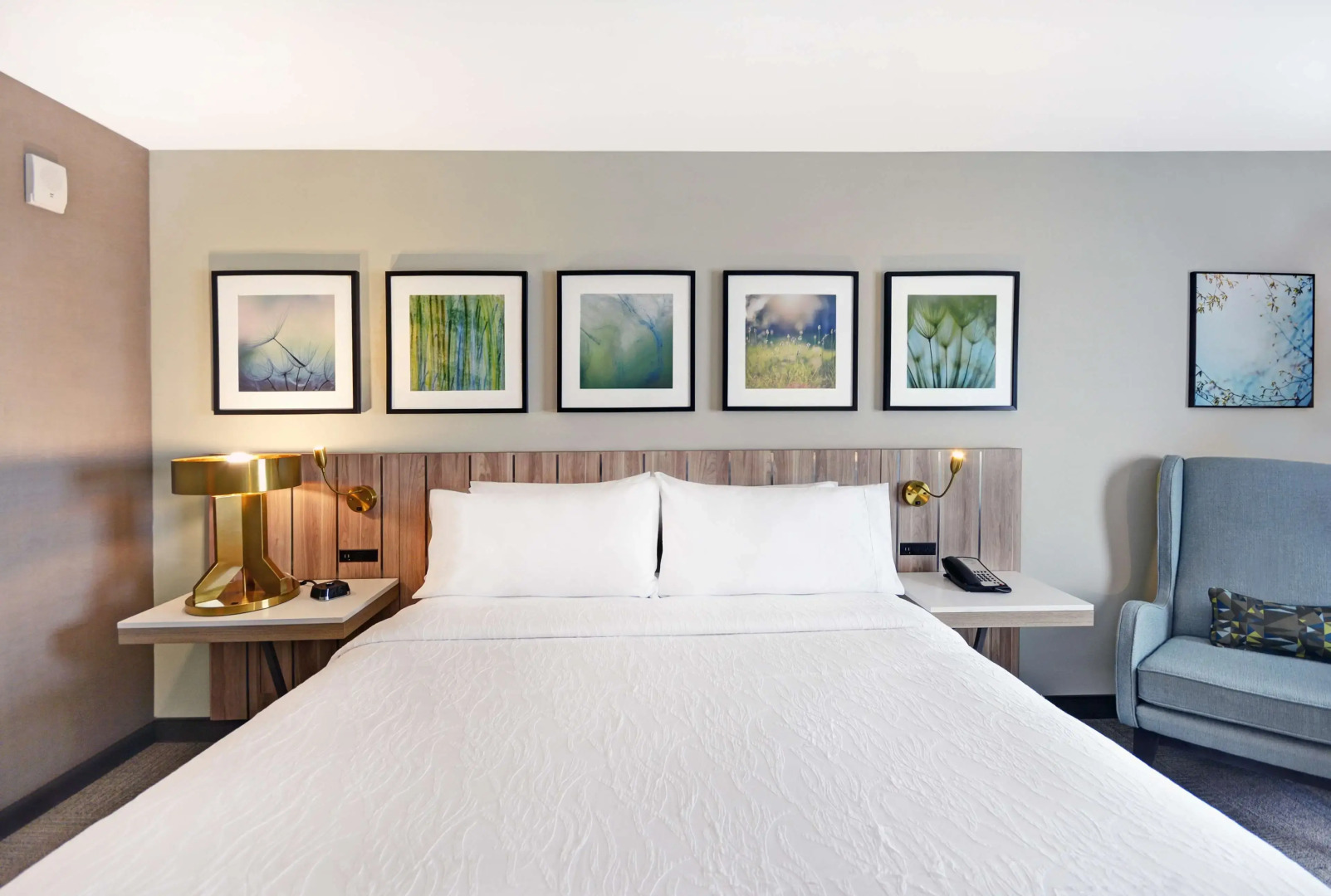 Foto - Hilton Garden Inn Houston Hobby Airport