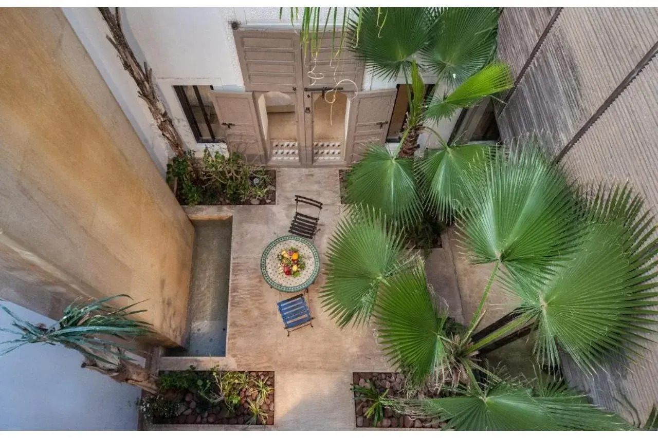 Foto - Riad Jaaneman