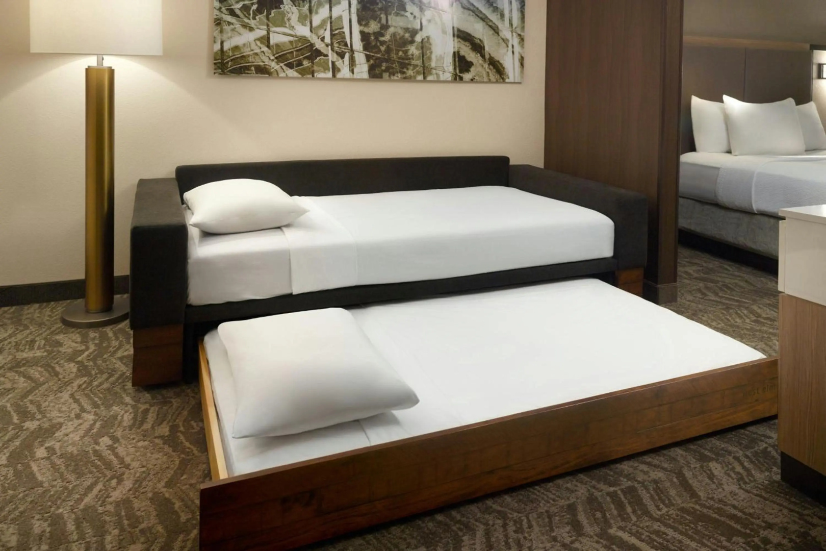 Photo - Springhill Suites By Marriott Atlanta Six Flags