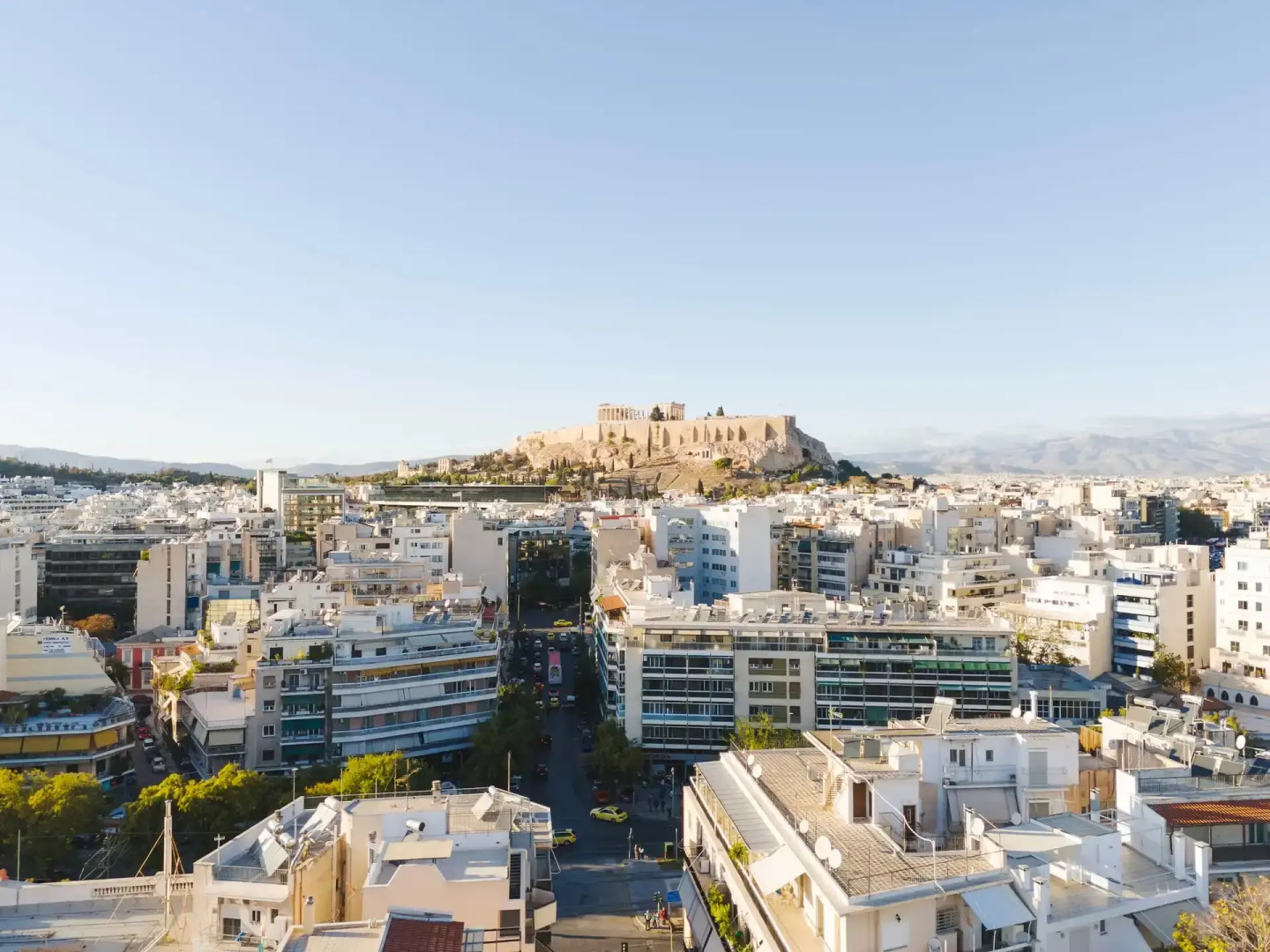 Photo - Tyto Alba Habitat