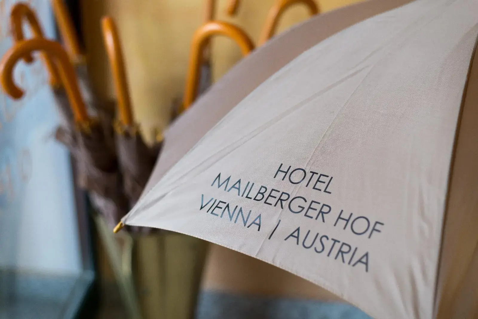 Photo - Hotel Palais Mailberger Hof