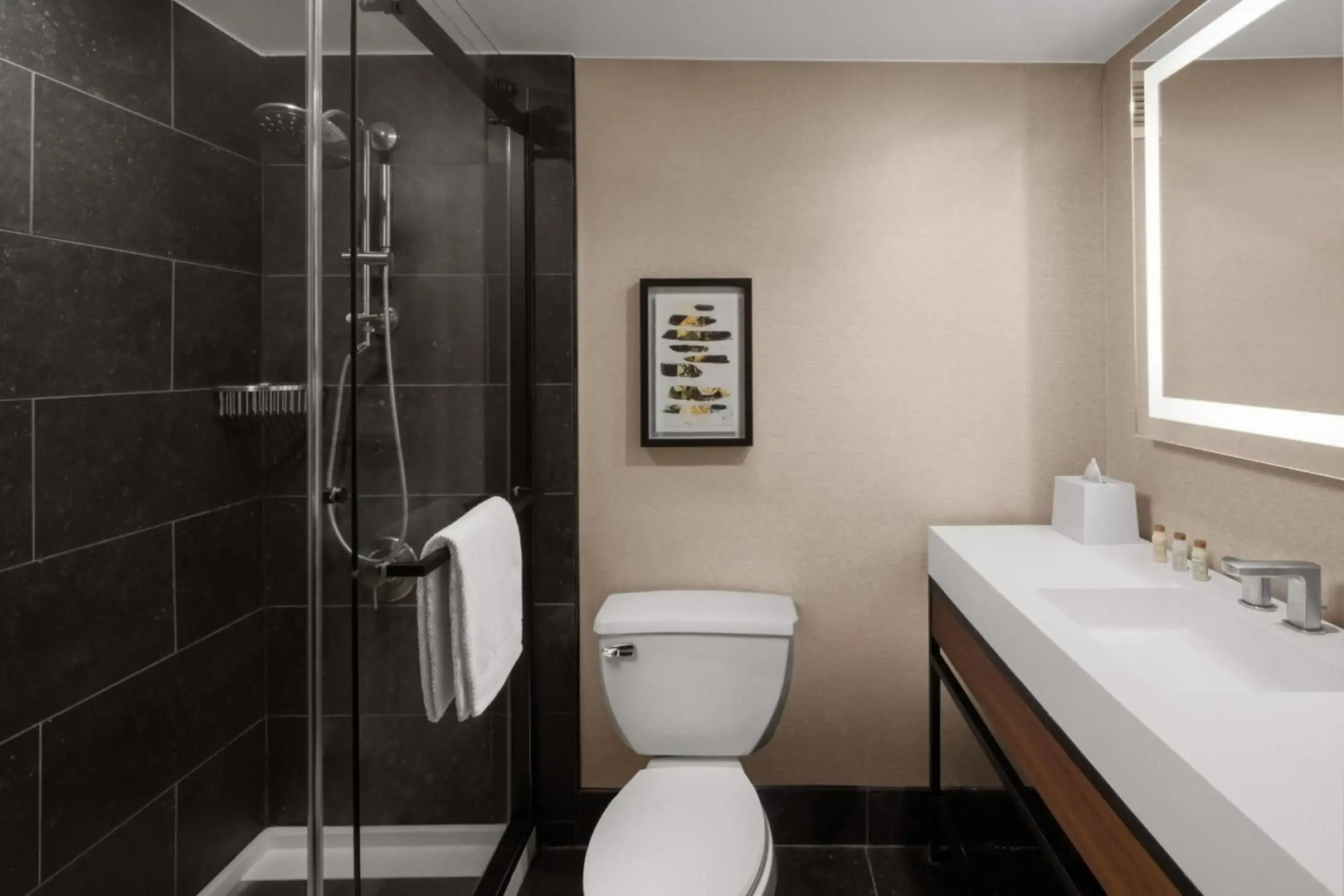 Foto - Renaissance Chicago North Shore Hotel