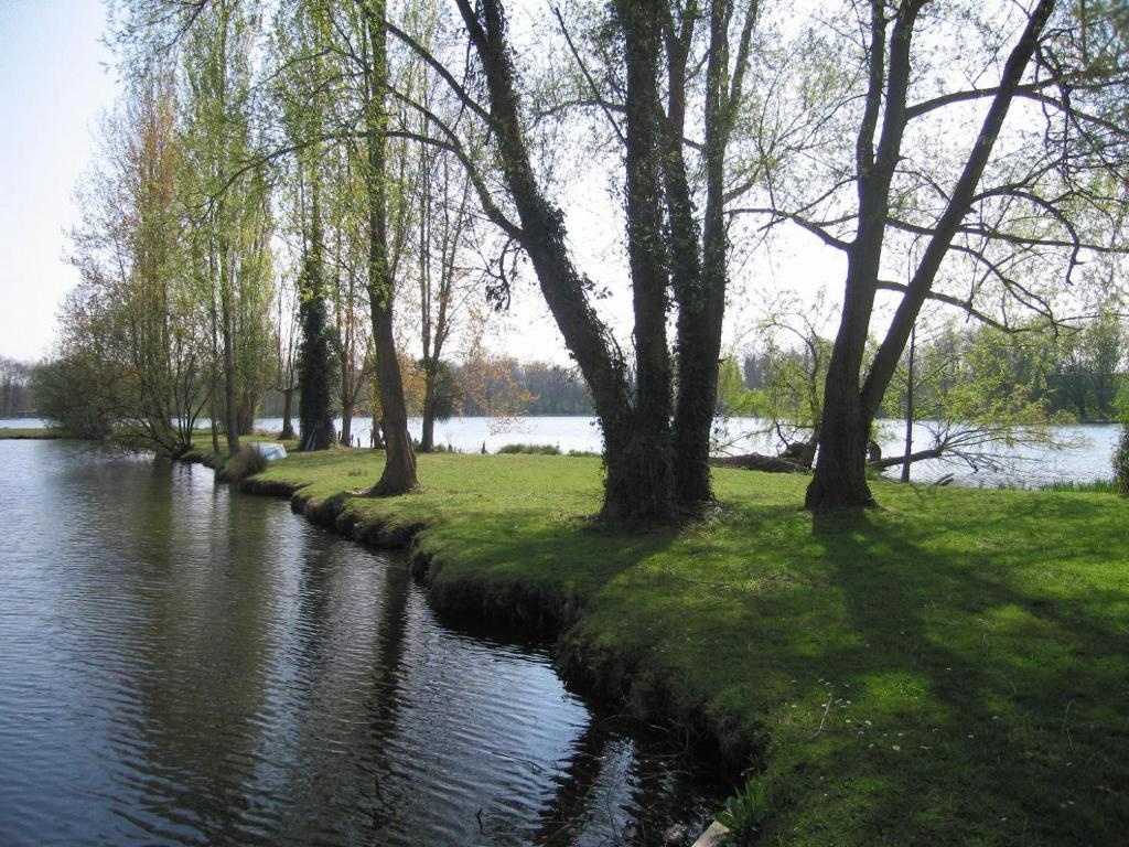 Foto - Hôtel de l'Ile du Saussay