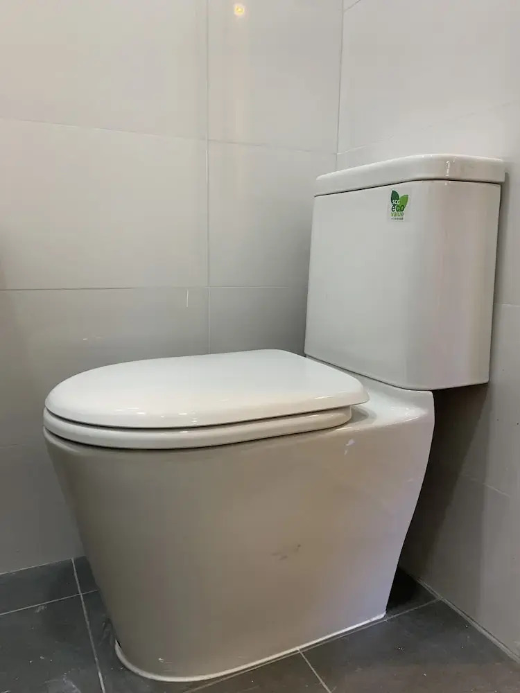 Photo - Turtle Maldives - Your Gateway to the Beach & Marine Adventures Await!