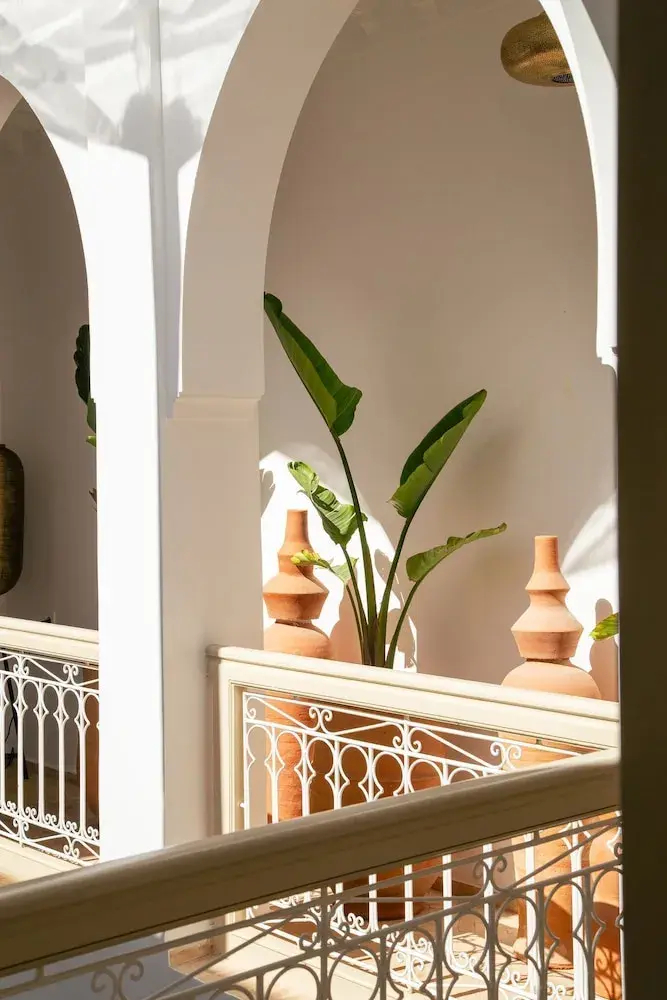 Photo - Riad À l'ombre des Orangers