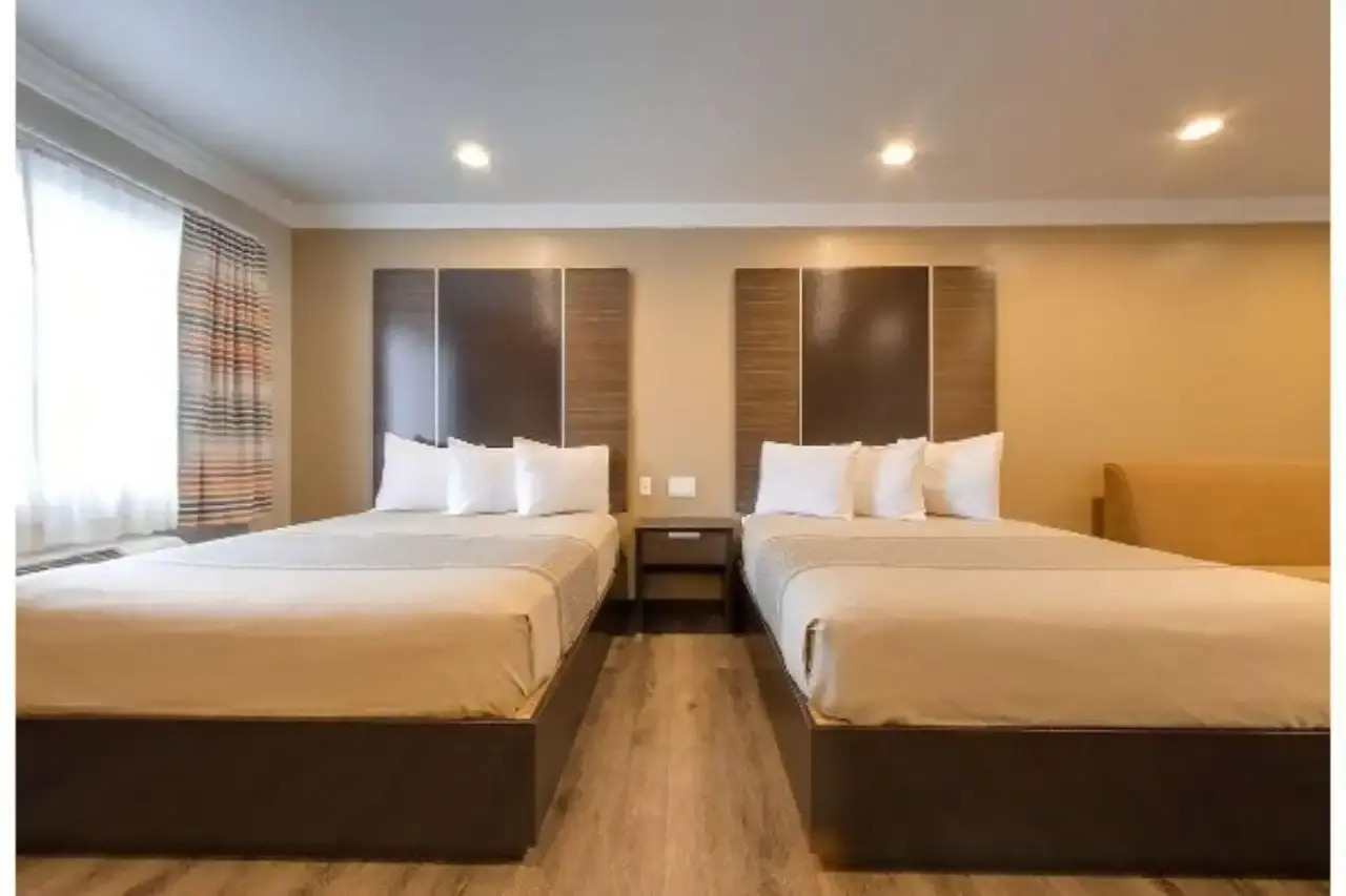 Foto - Eden Roc Inn & Suites near the Maingate