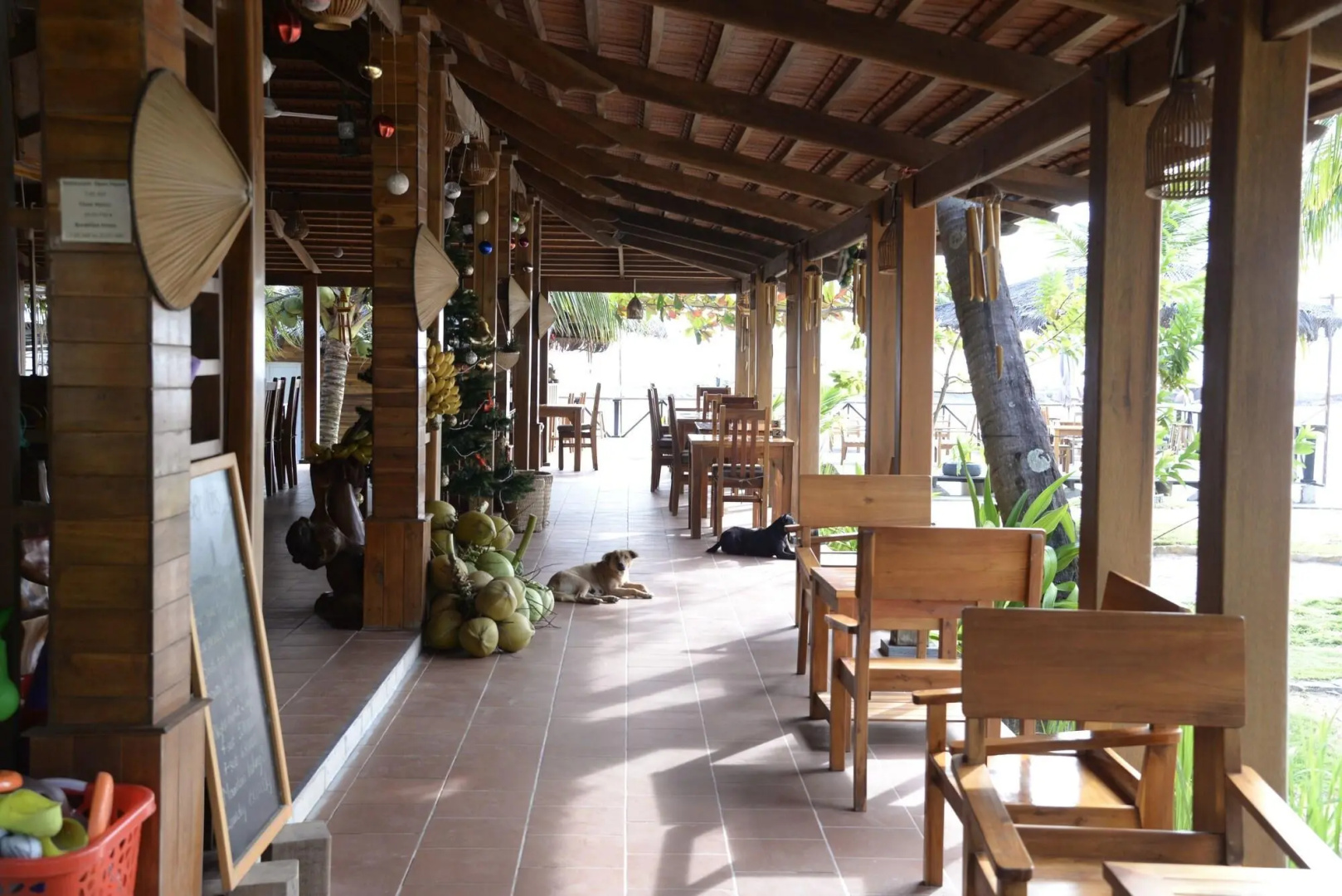 Foto - Mango Beach Resort