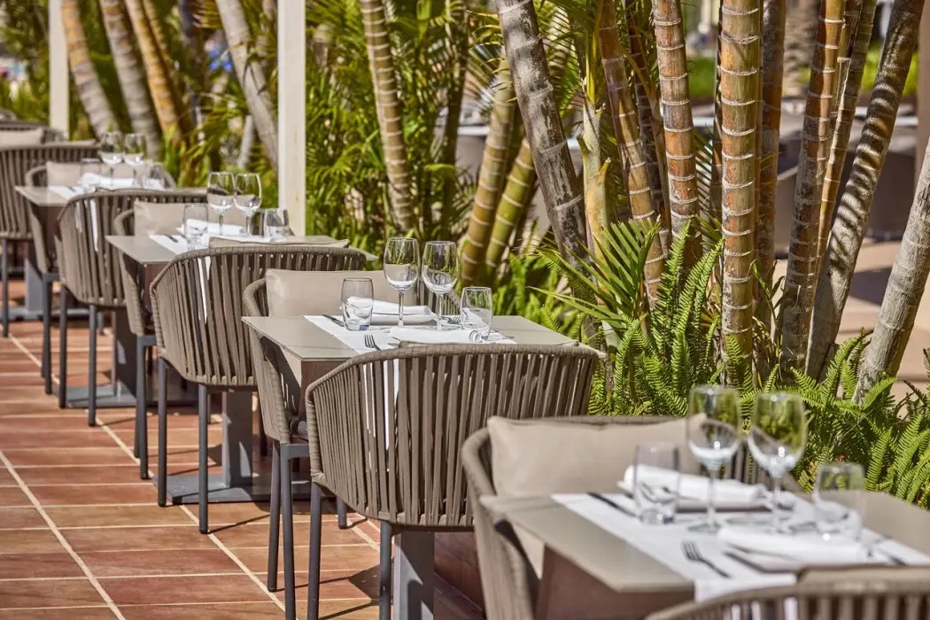 Foto - Zafiro Rey Don Jaime