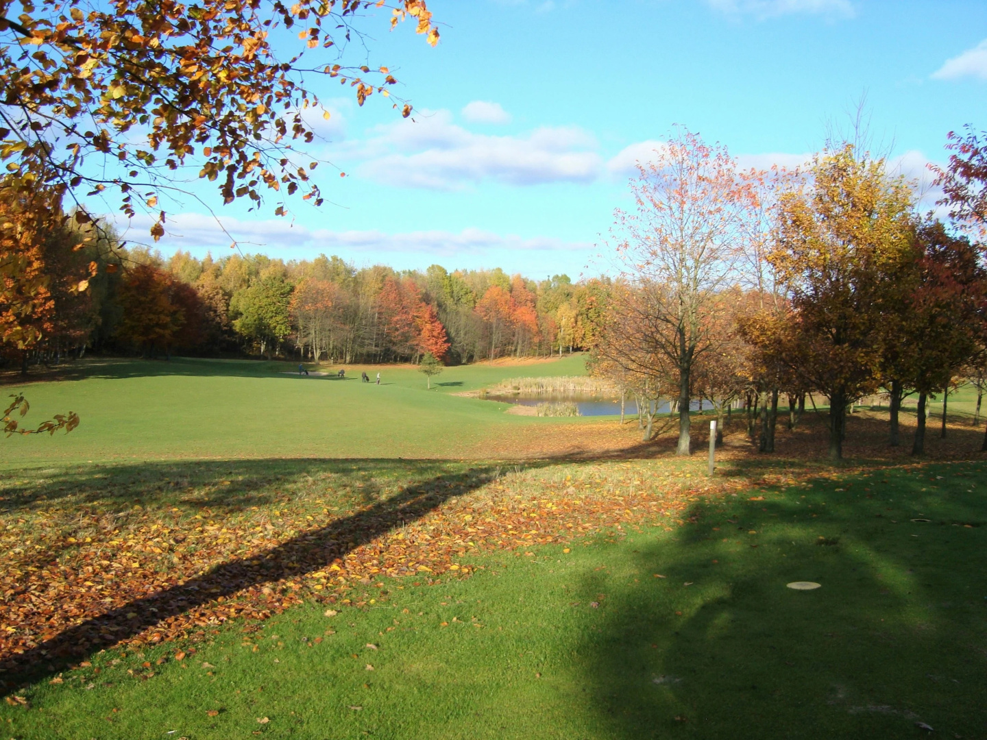 Photo - Hotel Lautrup Park