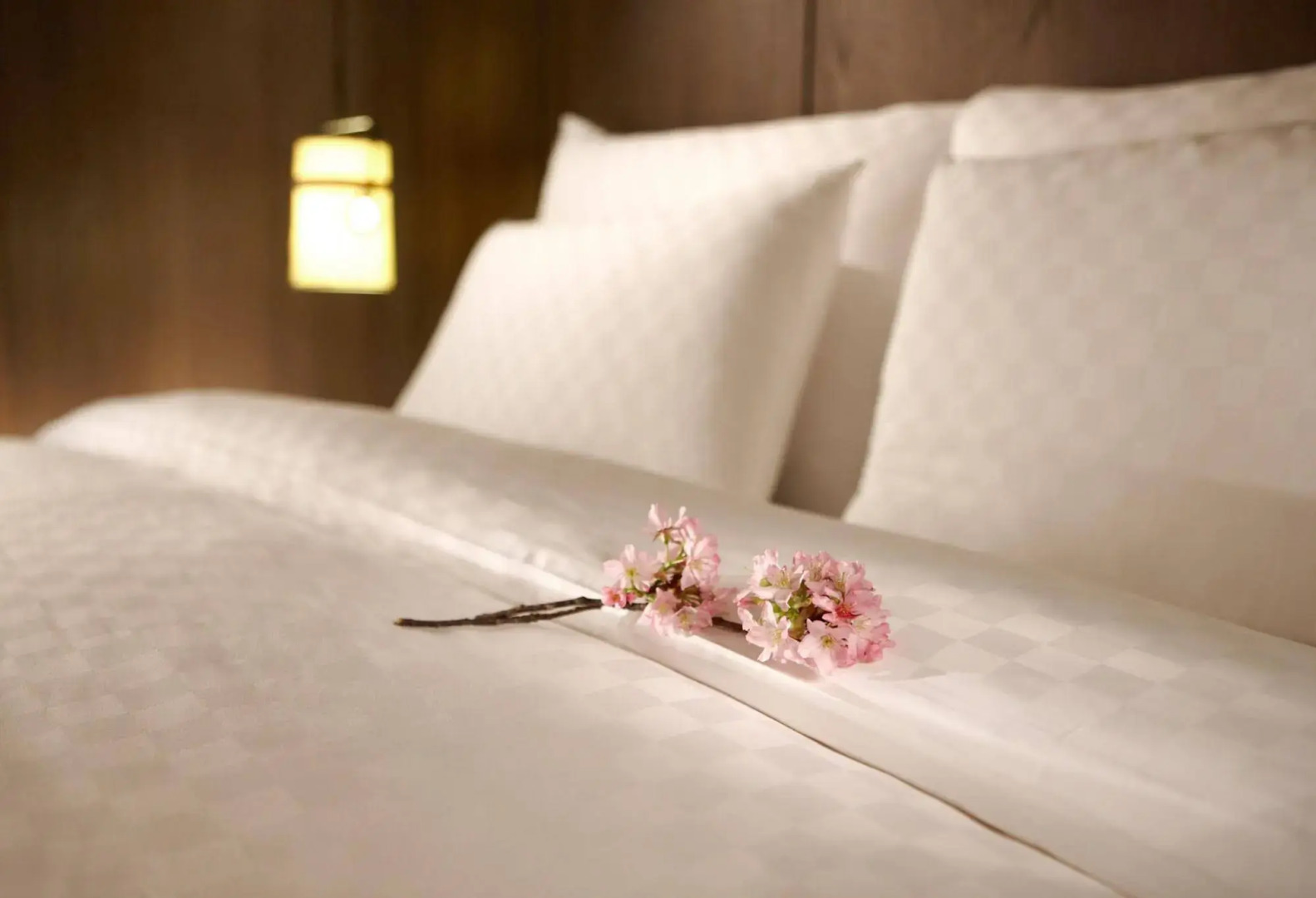 Foto - Hotel Royal Beitou