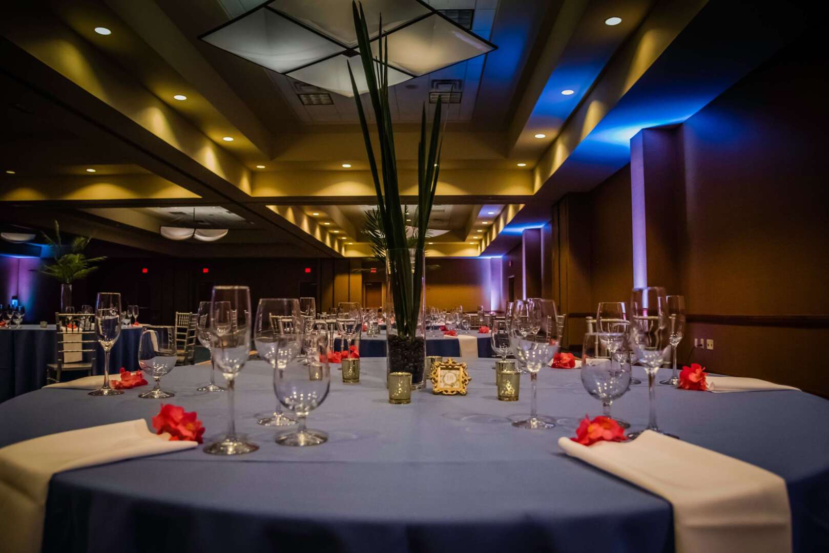 Foto - Hilton St. Petersburg Carillon Park