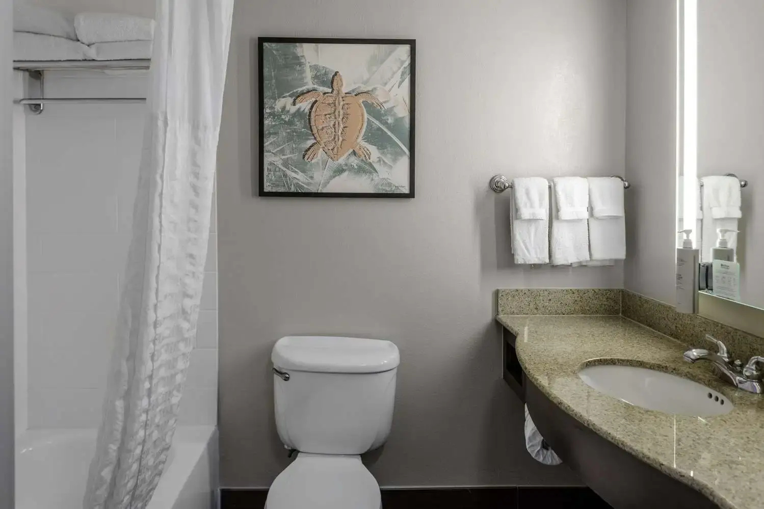 Photo - Hilton Garden Inn Sarasota - Bradenton Airport