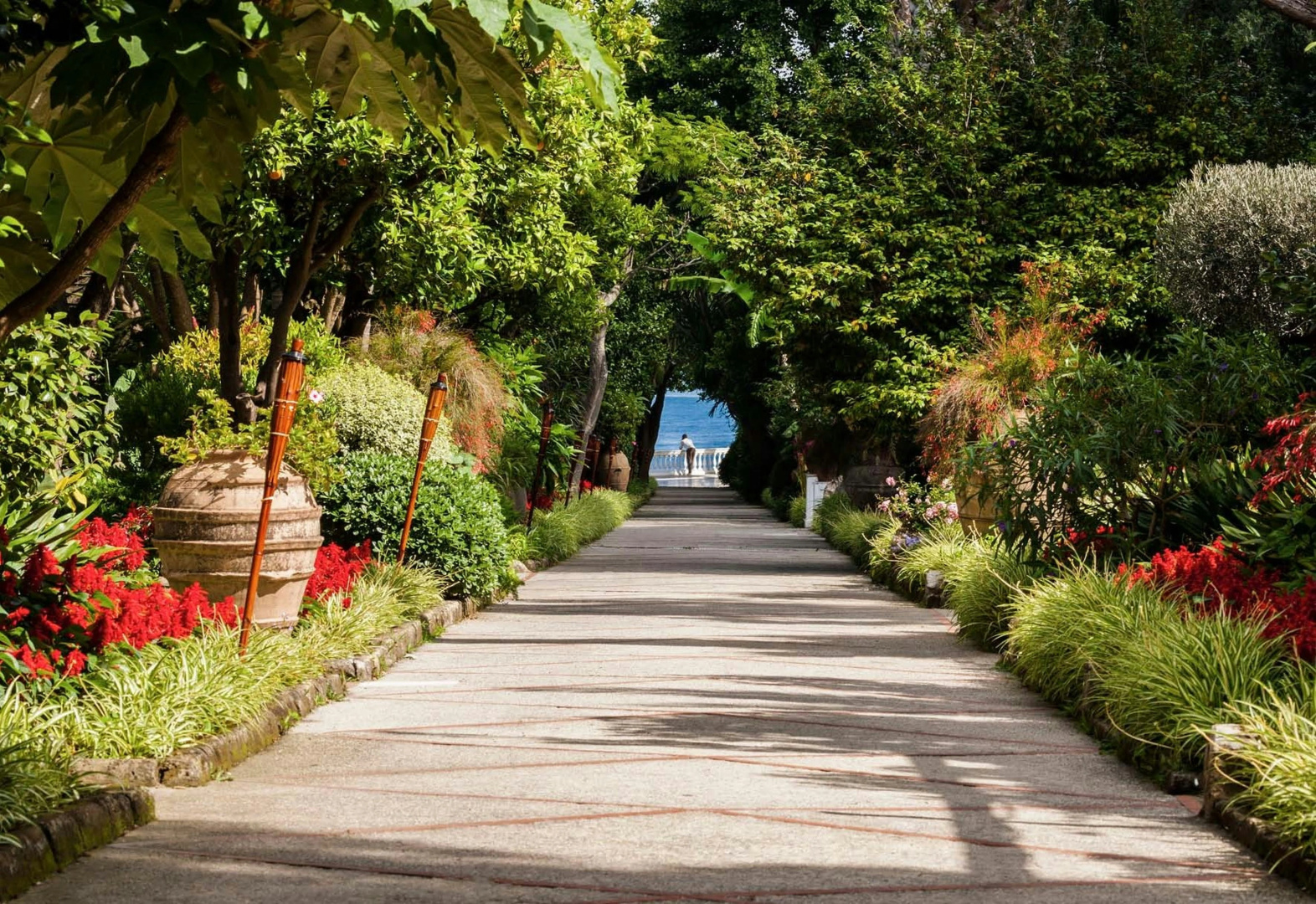 Foto - Grand Hotel Cocumella