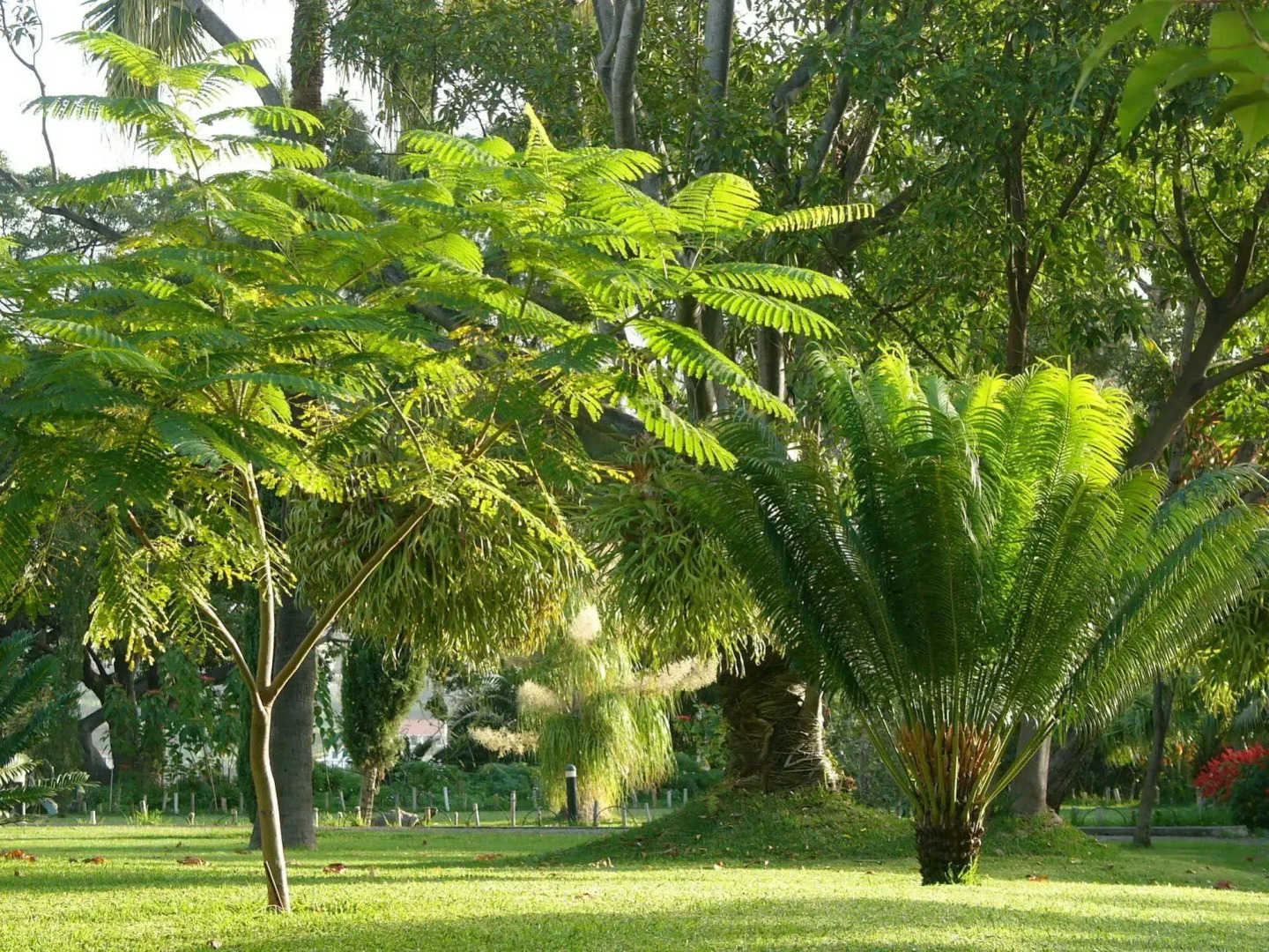 Photo - Quinta Jardins do Lago