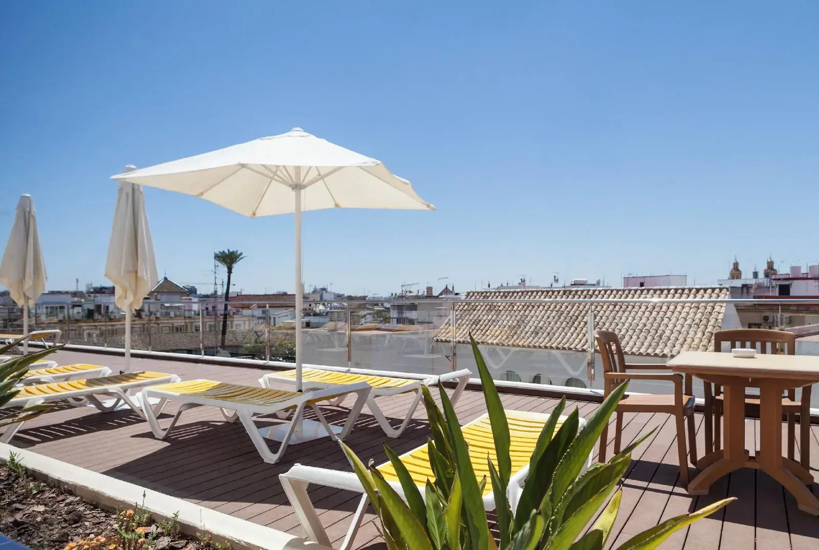 Photo - Hotel Don Paco