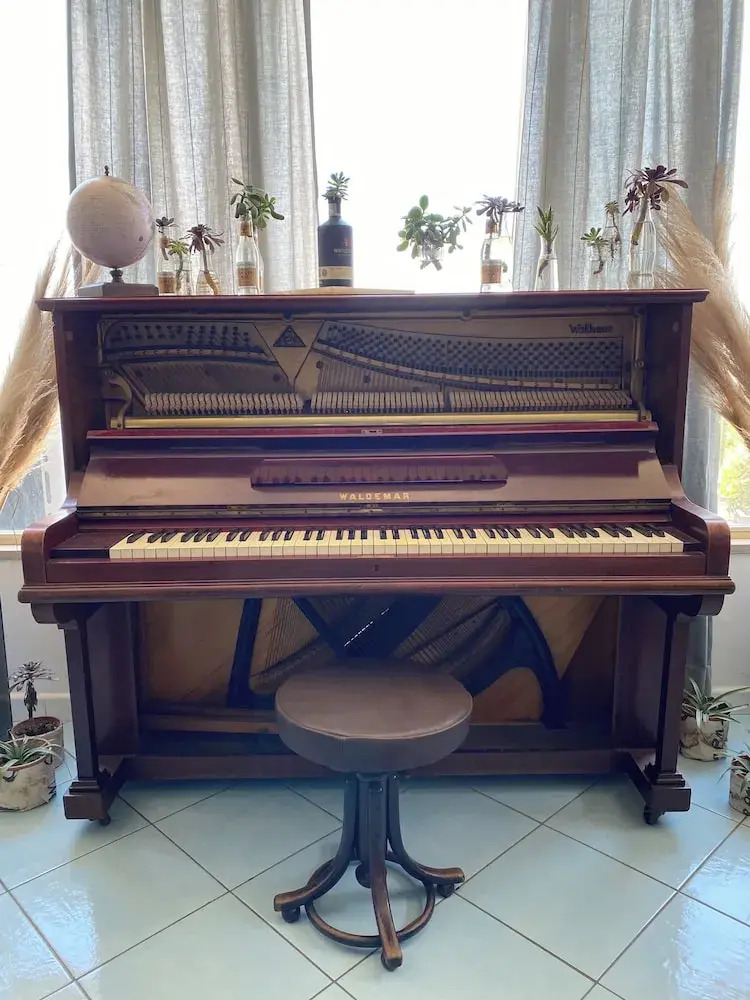 Foto - Black Market Hotel